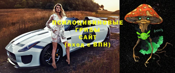 прущие грибы Верхнеуральск