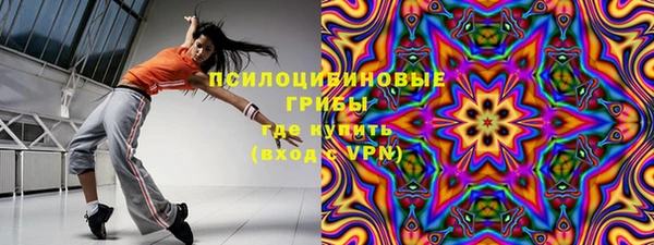 прущие грибы Верхнеуральск
