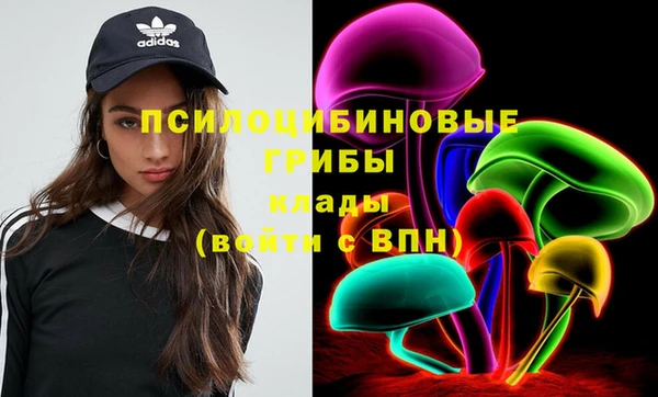 прущие грибы Верхнеуральск